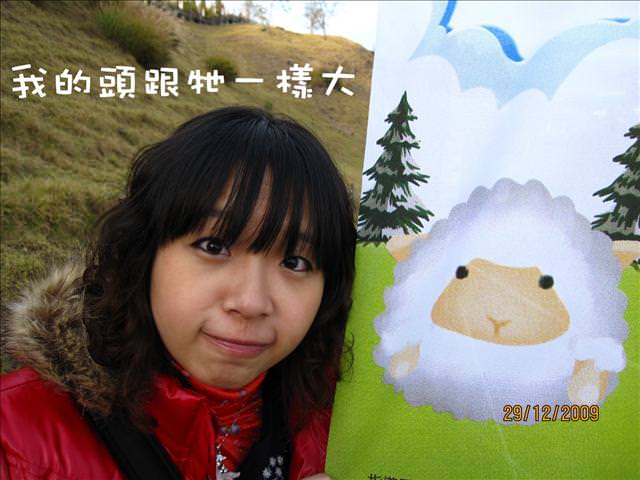 WINTER~中台灣之旅~DAY 2~清境清靜 - 第65張圖 WINTER~中台灣之旅~DAY 2~清境清靜