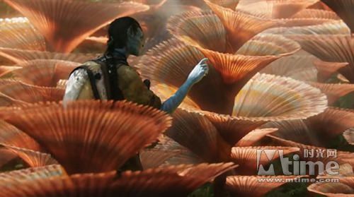 AVATAR。阿凡達