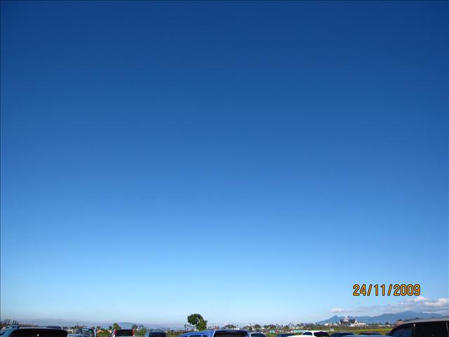 09。11。24~2009新社花海行。啪兔 - 第8張圖 09。11。24~2009新社花海行。啪兔