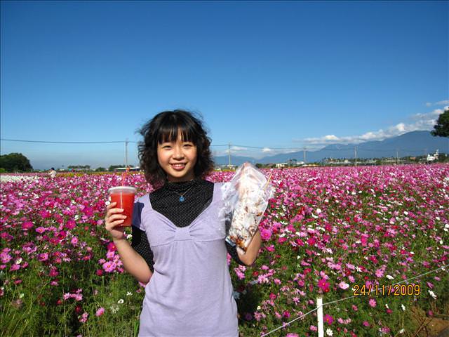 09。11。24~2009新社花海行。啪兔 - 第20張圖 09。11。24~2009新社花海行。啪兔