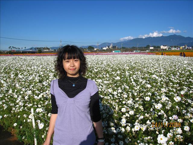 09。11。24~2009新社花海行。啪兔 - 第21張圖 09。11。24~2009新社花海行。啪兔
