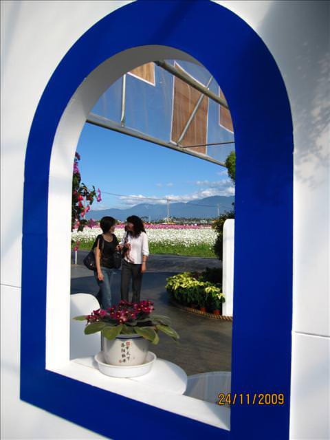 09。11。24~2009新社花海行。啪兔 - 第35張圖 09。11。24~2009新社花海行。啪兔