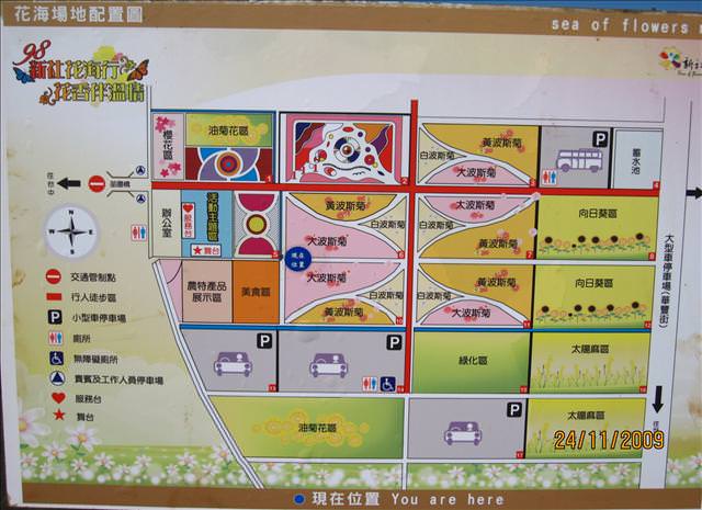 09。11。24~2009新社花海行。啪兔 - 第38張圖 09。11。24~2009新社花海行。啪兔