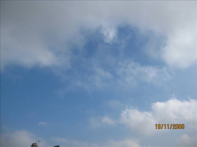 09。11。19~2009新社花海行。啪萬 - 第2張圖 09。11。19~2009新社花海行。啪萬