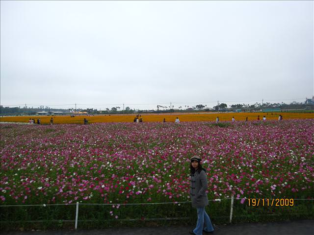 09。11。19~2009新社花海行。啪萬 - 第6張圖 09。11。19~2009新社花海行。啪萬