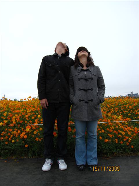 09。11。19~2009新社花海行。啪萬 - 第26張圖 09。11。19~2009新社花海行。啪萬