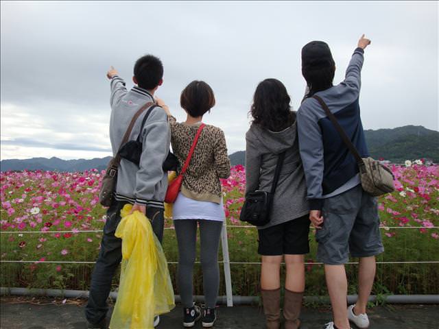 09。11。19~2009新社花海行。啪萬 - 第28張圖 09。11。19~2009新社花海行。啪萬
