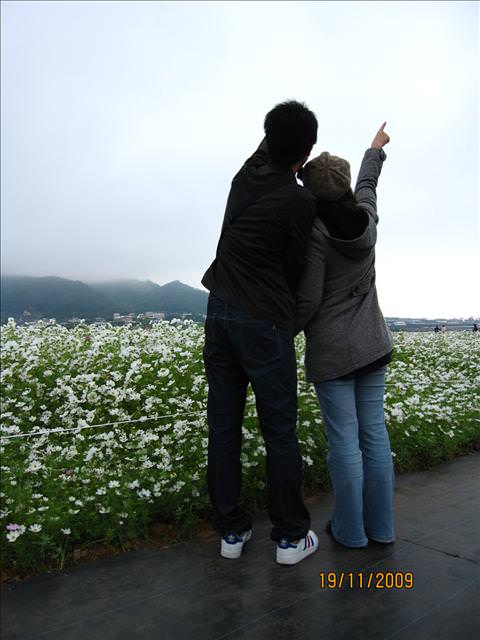 09。11。19~2009新社花海行。啪萬 - 第29張圖 09。11。19~2009新社花海行。啪萬