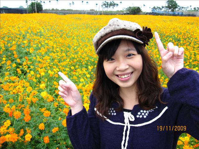 09。11。19~2009新社花海行。啪萬 - 第40張圖 09。11。19~2009新社花海行。啪萬