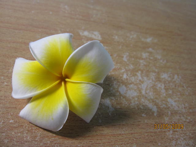 小花很勇敢