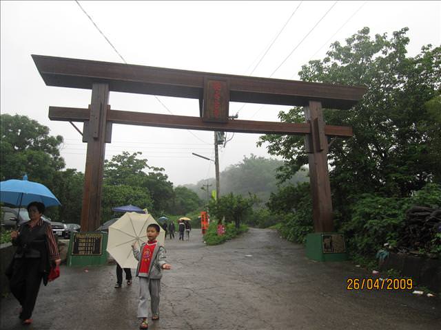 09。04。26~一朵桐花，正夯!!