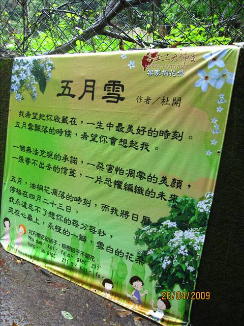 09。04。26~一朵桐花，正夯!!