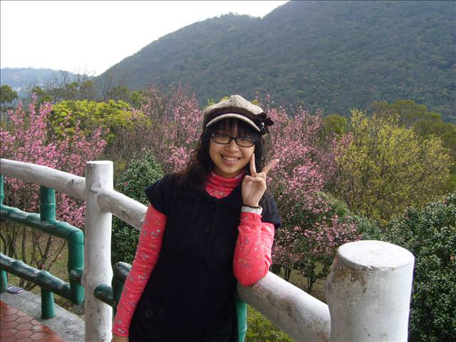 2008年精采大回顧~ II