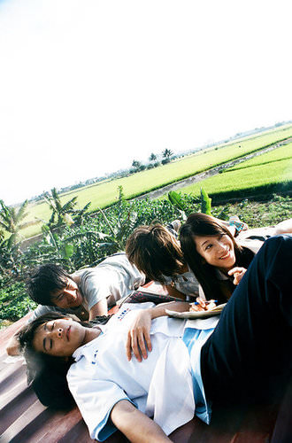 Summer's tail。夏天的尾巴