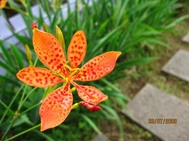 SUMMER~大溪宜蘭之旅~DAY 1 - 第30張圖 SUMMER~大溪宜蘭之旅~DAY 1