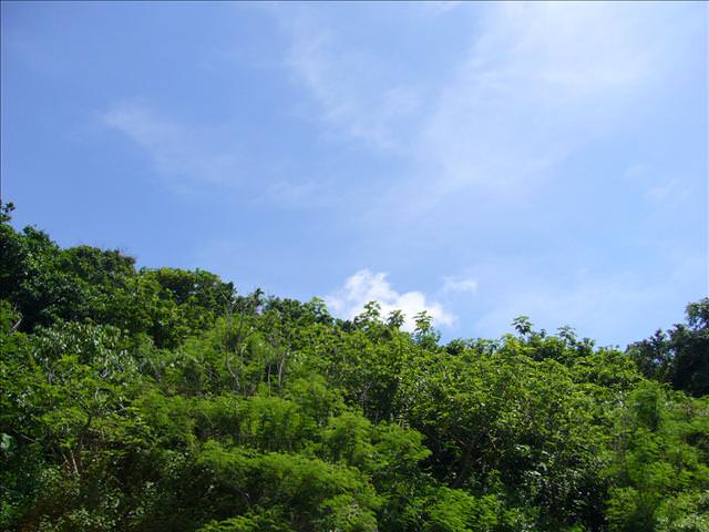 藍色琉球海