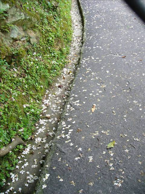 三度台北
