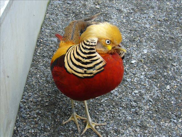 籤王!!!