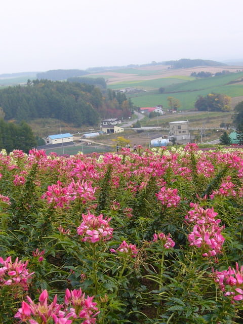 在北海道…預習冬天~Day 3