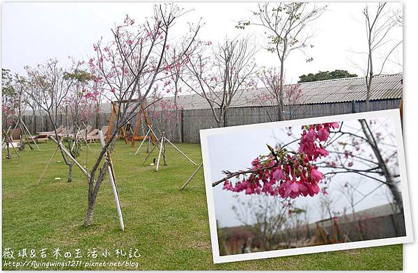 網誌用134.jpg 網誌用134.jpg