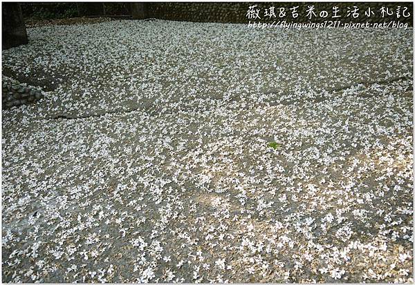 網誌用263.jpg 網誌用263.jpg