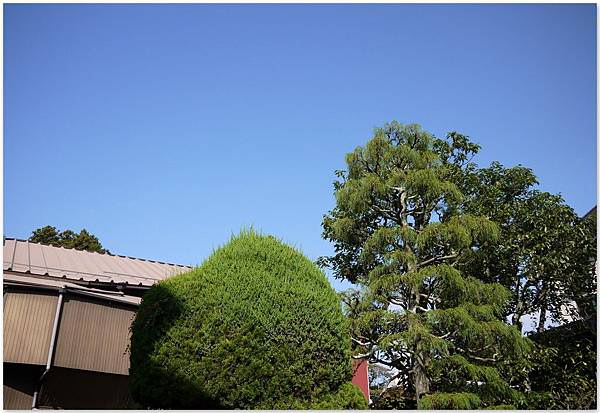 網誌用384.jpg