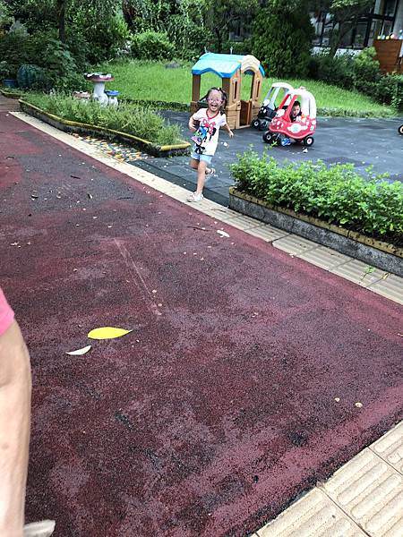 IMG_3557.JPG IMG_3557.JPG