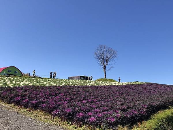 DSC_3384.JPG