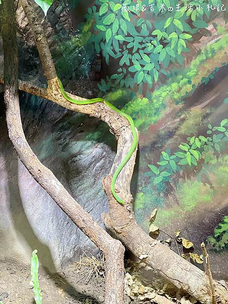 IMG_7134.JPG IMG_7134.JPG