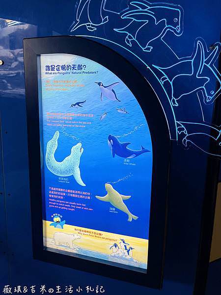 IMG_7160.JPG IMG_7160.JPG