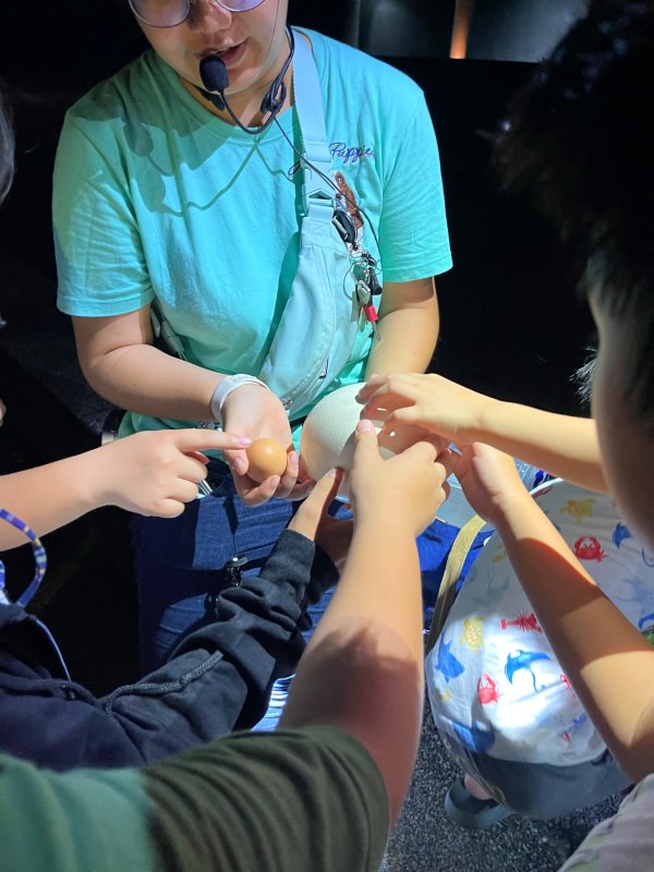 台中豪華露營┃蟬說：夕陽漫漫。豪華露營，一卡皮箱就可以GO!! 鄰近高美濕地，餐餐都有海鮮可以吃，早晚餐都無可挑剔!
