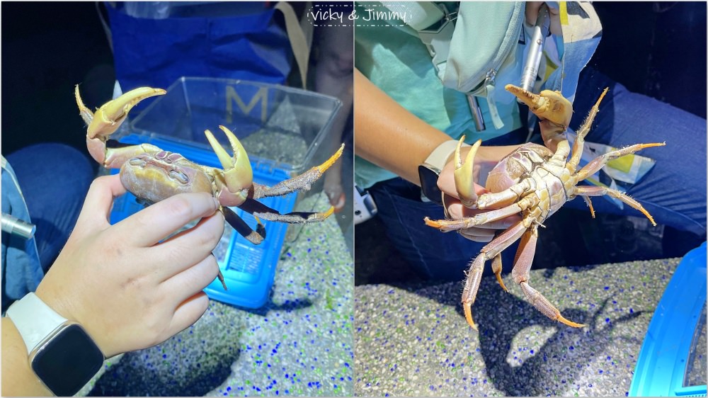 台中豪華露營┃蟬說：夕陽漫漫。豪華露營，一卡皮箱就可以GO!! 鄰近高美濕地，餐餐都有海鮮可以吃，早晚餐都無可挑剔!