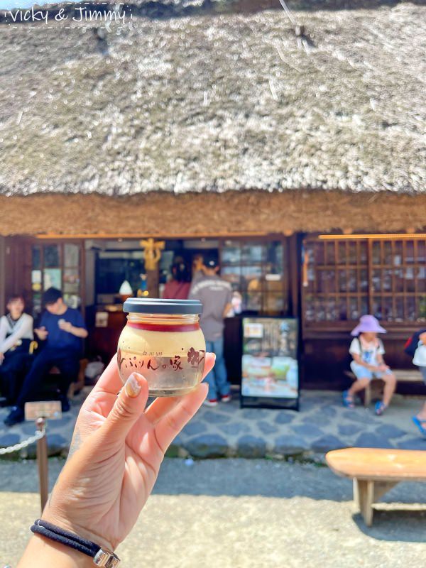 2023名古屋之旅。合掌村。夏天的合掌村超美的，來這悠閒逛逛也不輸大雪景喔!