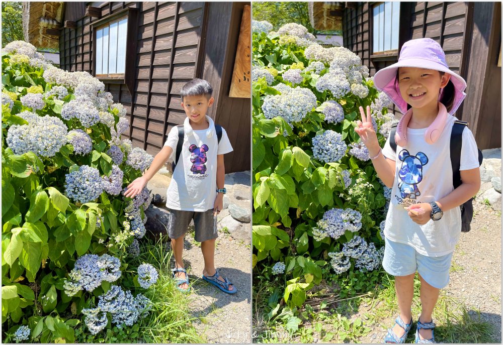 2023名古屋之旅。合掌村。夏天的合掌村超美的，來這悠閒逛逛也不輸大雪景喔!