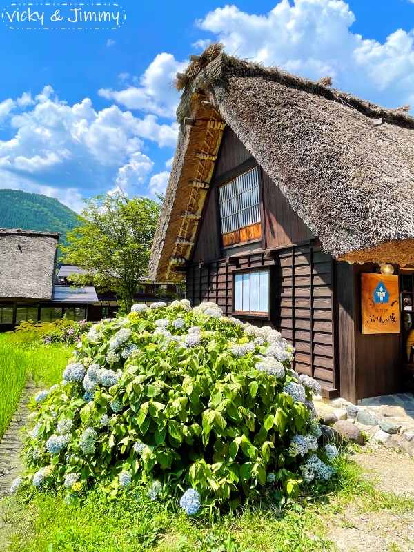 2023名古屋之旅。合掌村。夏天的合掌村超美的，來這悠閒逛逛也不輸大雪景喔!