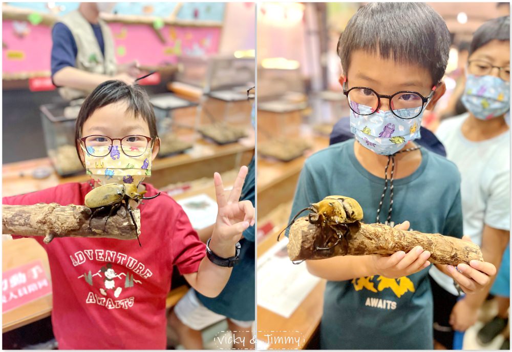 嘉義親子景點┃新嘉大昆蟲館。14倍大的昆蟲仿真模型,好像來到巨人國!!甲蟲控的天堂,還有網美ig打卡景點!! - 第19張圖 嘉義親子景點┃新嘉大昆蟲館。14倍大的昆蟲仿真模型,好像來到巨人國!!甲蟲控的天堂,還有網美ig打卡景點!!