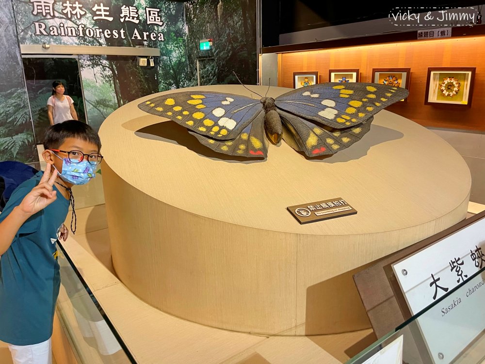 嘉義親子景點┃新嘉大昆蟲館。14倍大的昆蟲仿真模型,好像來到巨人國!!甲蟲控的天堂,還有網美ig打卡景點!! - 第32張圖 嘉義親子景點┃新嘉大昆蟲館。14倍大的昆蟲仿真模型,好像來到巨人國!!甲蟲控的天堂,還有網美ig打卡景點!!