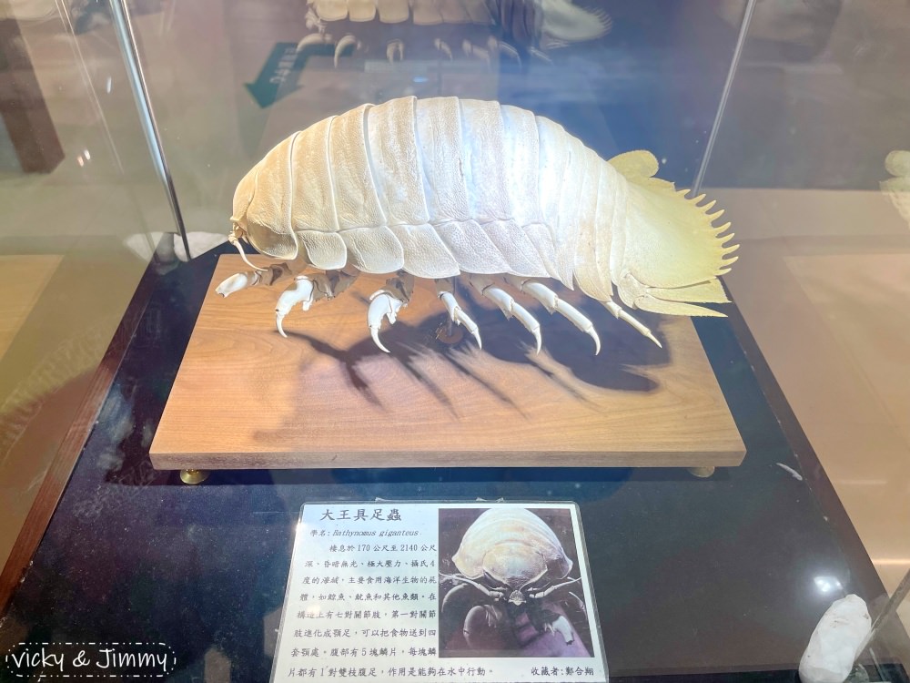 嘉義親子景點┃新嘉大昆蟲館。14倍大的昆蟲仿真模型,好像來到巨人國!!甲蟲控的天堂,還有網美ig打卡景點!! - 第34張圖 嘉義親子景點┃新嘉大昆蟲館。14倍大的昆蟲仿真模型,好像來到巨人國!!甲蟲控的天堂,還有網美ig打卡景點!!