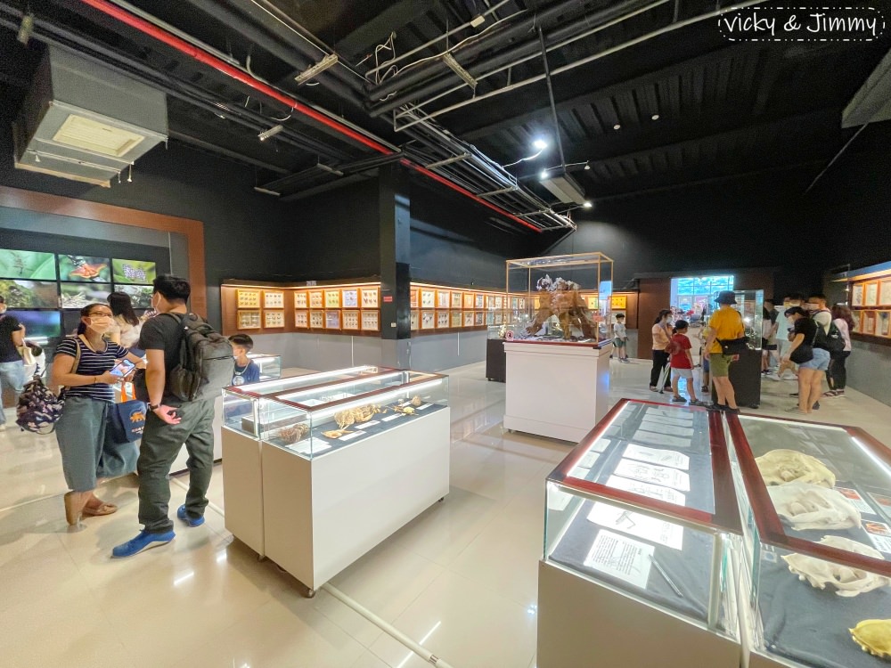 嘉義親子景點┃新嘉大昆蟲館。14倍大的昆蟲仿真模型,好像來到巨人國!!甲蟲控的天堂,還有網美ig打卡景點!! - 第39張圖 嘉義親子景點┃新嘉大昆蟲館。14倍大的昆蟲仿真模型,好像來到巨人國!!甲蟲控的天堂,還有網美ig打卡景點!!