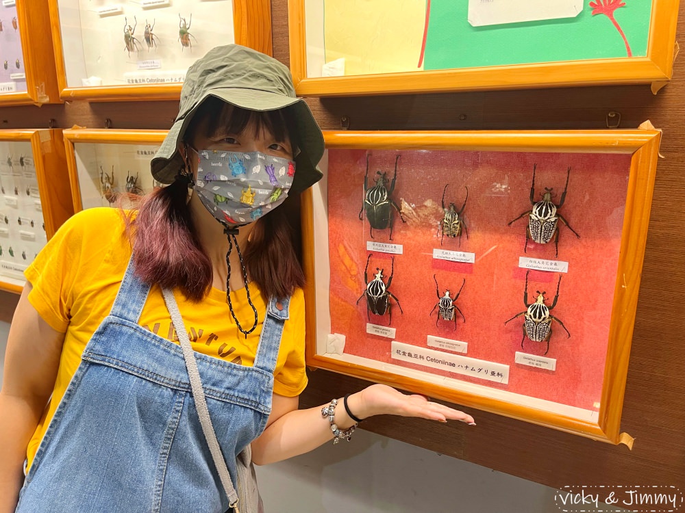 嘉義親子景點┃新嘉大昆蟲館。14倍大的昆蟲仿真模型,好像來到巨人國!!甲蟲控的天堂,還有網美ig打卡景點!! - 第40張圖 嘉義親子景點┃新嘉大昆蟲館。14倍大的昆蟲仿真模型,好像來到巨人國!!甲蟲控的天堂,還有網美ig打卡景點!!