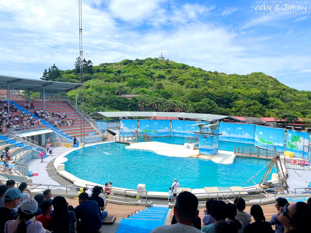 新北萬里┃野柳海洋世界。猛男跳水秀、海獅海豚表演,也可以跟海豚親親喔!!! - 第8張圖 新北萬里┃野柳海洋世界。猛男跳水秀、海獅海豚表演,也可以跟海豚親親喔!!!
