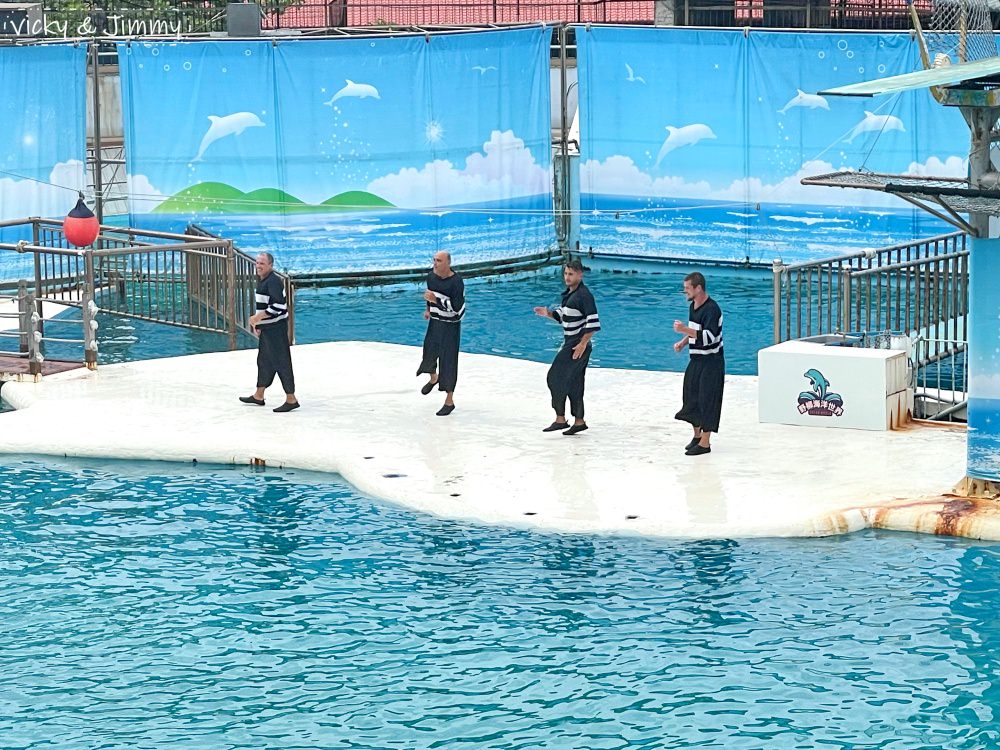 新北萬里┃野柳海洋世界。猛男跳水秀、海獅海豚表演,也可以跟海豚親親喔!!! - 第9張圖 新北萬里┃野柳海洋世界。猛男跳水秀、海獅海豚表演,也可以跟海豚親親喔!!!
