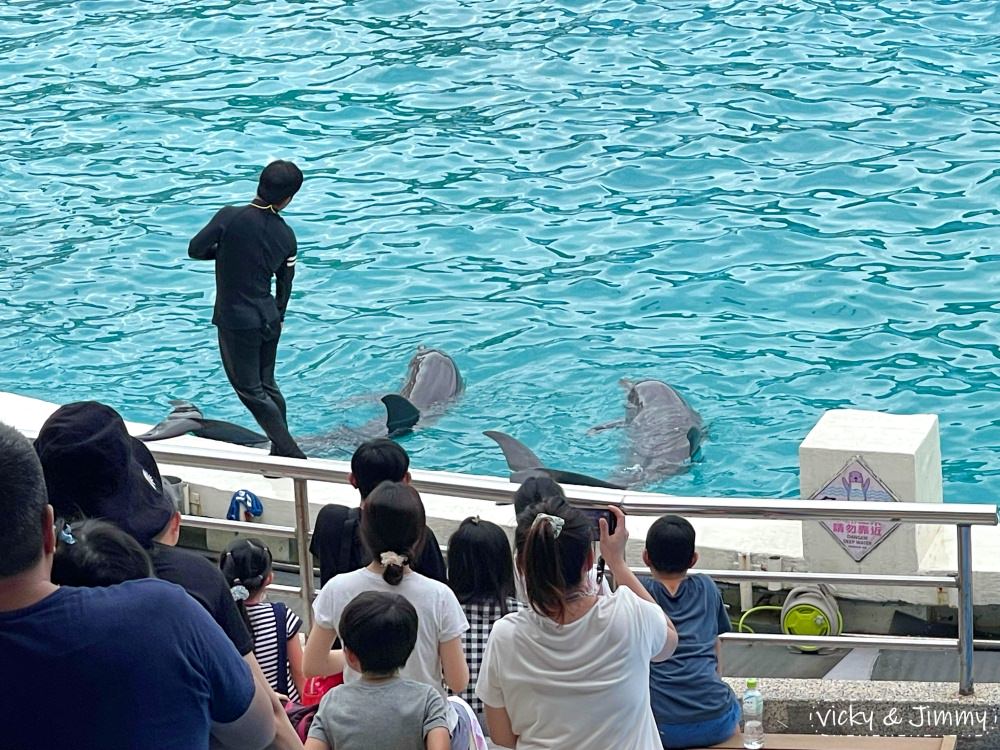 新北萬里┃野柳海洋世界。猛男跳水秀、海獅海豚表演,也可以跟海豚親親喔!!! - 第15張圖 新北萬里┃野柳海洋世界。猛男跳水秀、海獅海豚表演,也可以跟海豚親親喔!!!