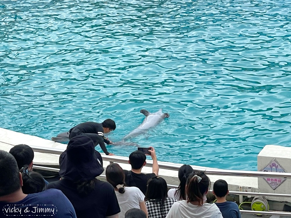 新北萬里┃野柳海洋世界。猛男跳水秀、海獅海豚表演,也可以跟海豚親親喔!!! - 第16張圖 新北萬里┃野柳海洋世界。猛男跳水秀、海獅海豚表演,也可以跟海豚親親喔!!!