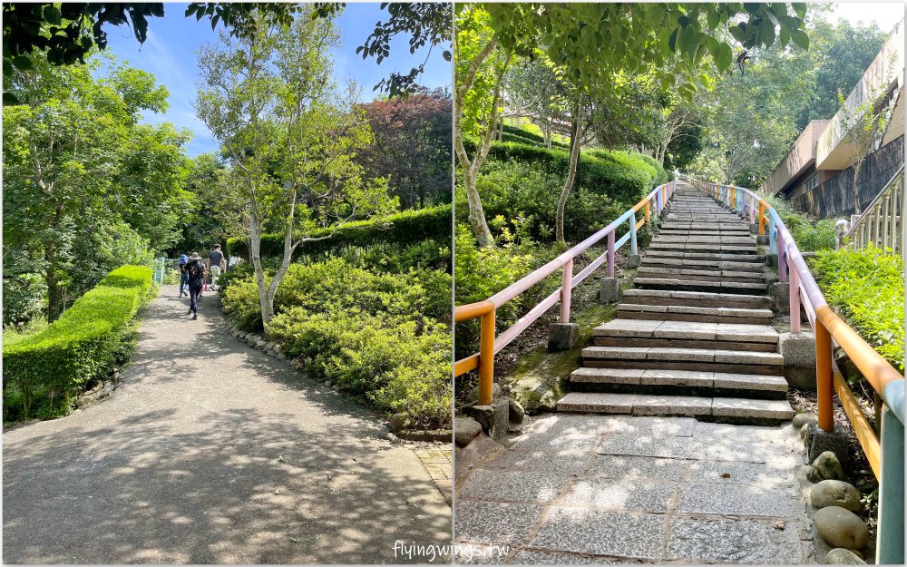 嘉義中埔┃獨角仙休閒農場。滑草、餵鴿子、釣螯蝦，認識昆蟲，這裡通通都有!!(目前票價為150/人)
