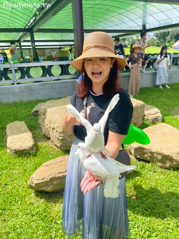 嘉義中埔┃獨角仙休閒農場。滑草、餵鴿子、釣螯蝦，認識昆蟲，這裡通通都有!!(目前票價為150/人)