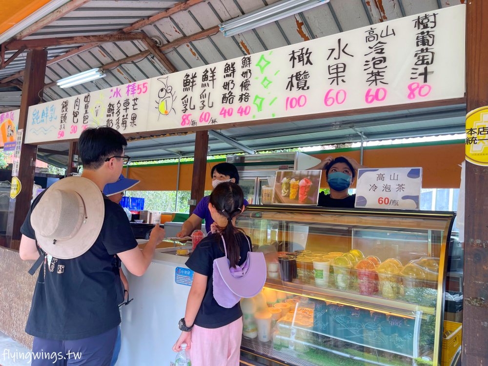 嘉義中埔┃獨角仙休閒農場。滑草、餵鴿子、釣螯蝦，認識昆蟲，這裡通通都有!!(目前票價為150/人)