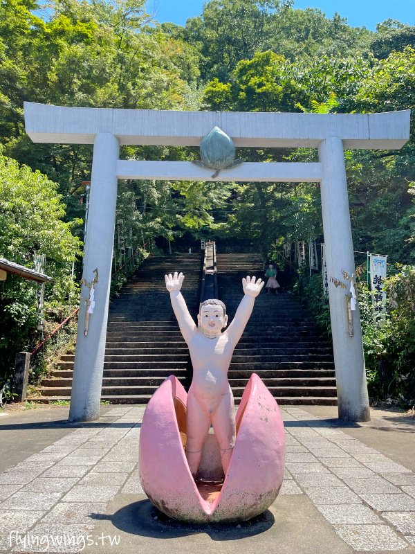 2023名古屋之旅。桃太郎神社。有桃型鳥居及桃子御守的神社，但光溜溜的桃太郎還是令人不忍直視啊!!