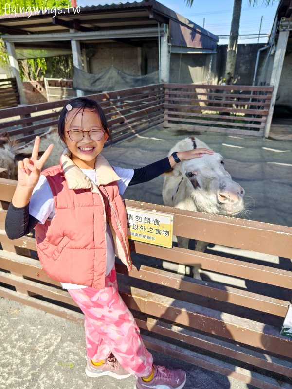 嘉義民雄┃三隻小豬觀光農場。離交流道近、有免費停車場、門票價格親民，值得再訪!