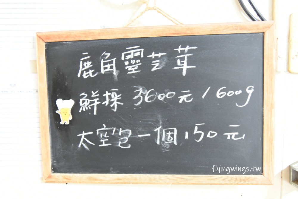南投親子景點┃豐年靈芝菇類生態農場。2.0版菇菇農場,散客免入園費,採菇、披薩DIY、彩繪一次來! - 第56張圖 南投親子景點┃豐年靈芝菇類生態農場。2.0版菇菇農場,散客免入園費,採菇、披薩DIY、彩繪一次來!